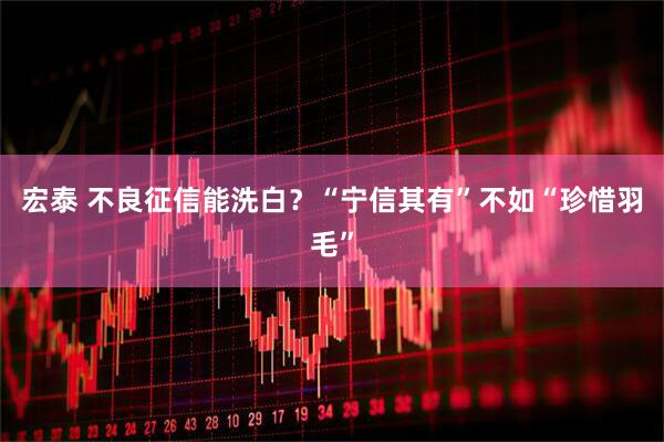 宏泰 不良征信能洗白？“宁信其有”不如“珍惜羽毛”