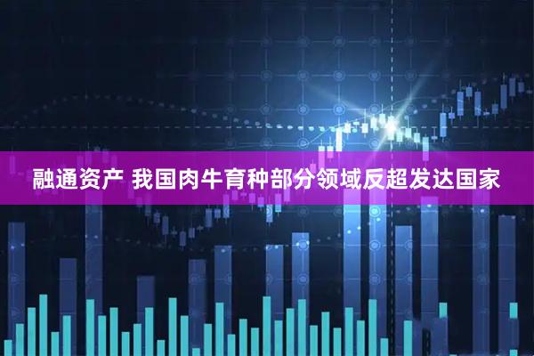 融通资产 我国肉牛育种部分领域反超发达国家